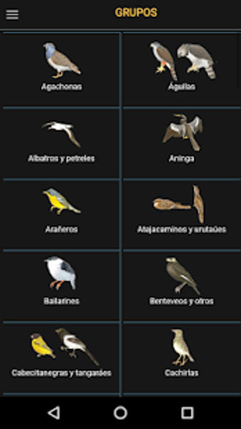 Image 2 for Aves argentinas