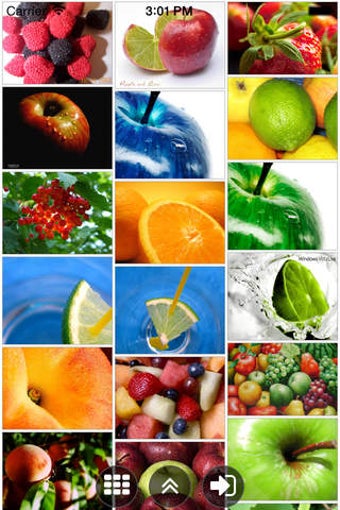 Image 0 for Explorer for Picasa