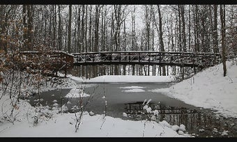 Image 0 for Winter Screensaver