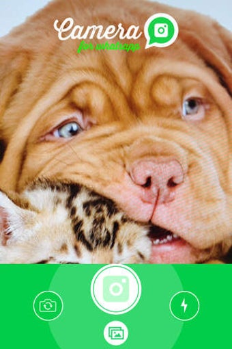 Image 0 for Camera for WhatsApp - Sha…
