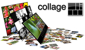 Image 0 for cf/x collage