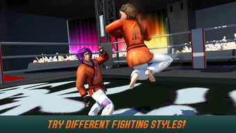 Image 1 for Karate Do Fighting Tiger …