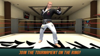 Image 3 for Karate Do Fighting Tiger …