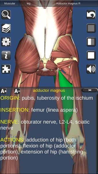 Image 0 for 3D Human Anatomy for Wind…
