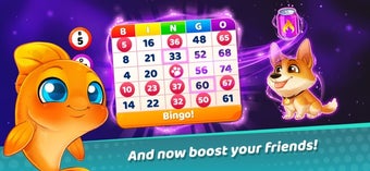 Image 3 for Bingo Friends. Live Bingo…