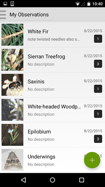 Imagen 1 para iNaturalist