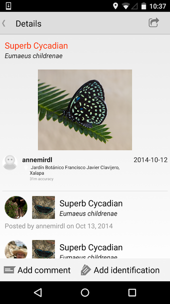Imagen 5 para iNaturalist