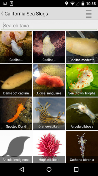 Imagen 2 para iNaturalist