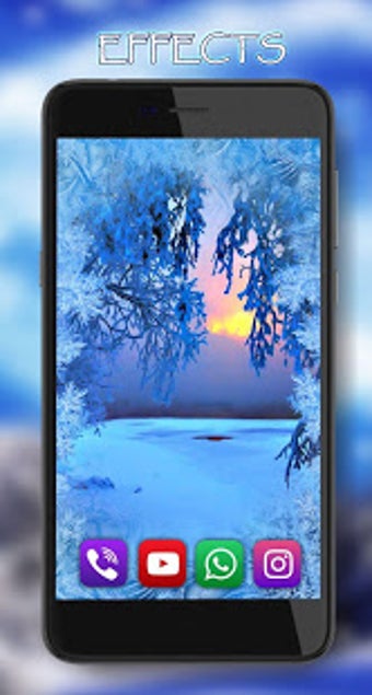 Image 2 for Winter Forest