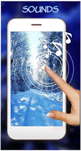 Image 0 for Winter Forest