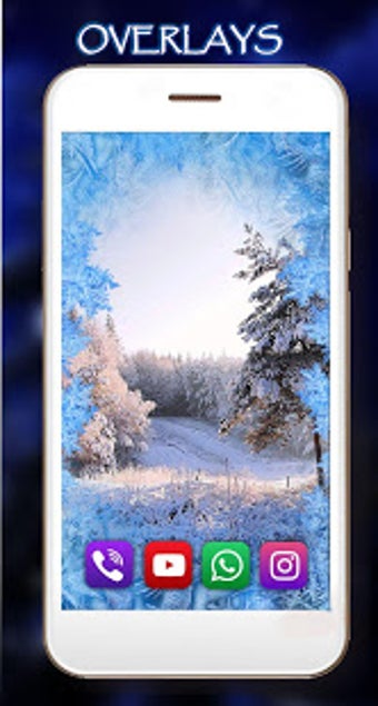 Image 3 for Winter Forest