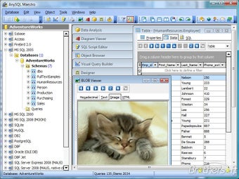 Image 0 for AnySQL Maestro