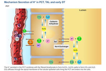 Image 0 for Physiology Learning Pro