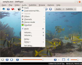 Image 0 for SMPlayer