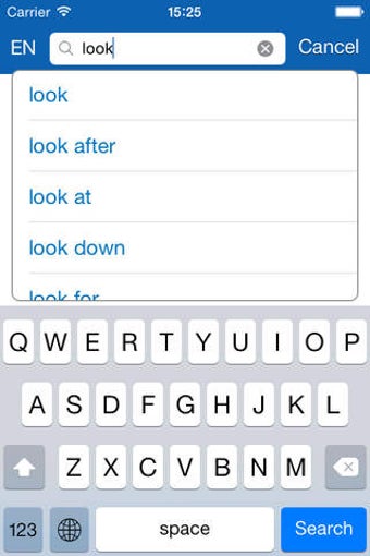 Image 0 for Hindi <> English Dictiona…