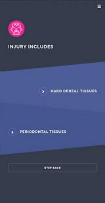 Image 3 for Dent.IN JURY