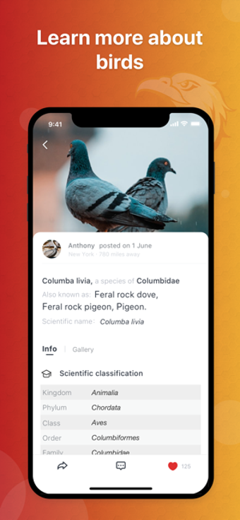 Imagen 0 para Picture Bird - Bird Ident…