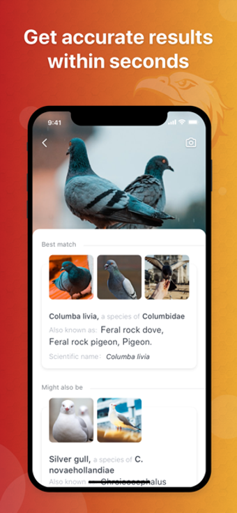Imagen 1 para Picture Bird - Bird Ident…