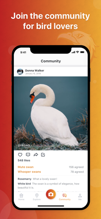 Imagen 3 para Picture Bird - Bird Ident…