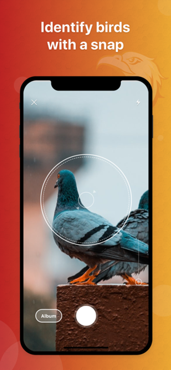 Imagen 2 para Picture Bird - Bird Ident…