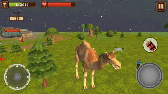 Image 0 for Camel Simulator