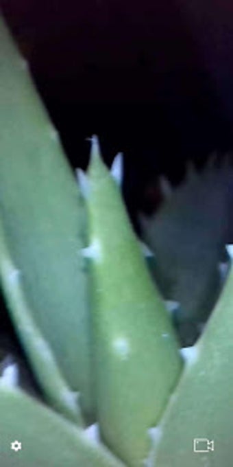 Image 1 for Teslong HD Camera
