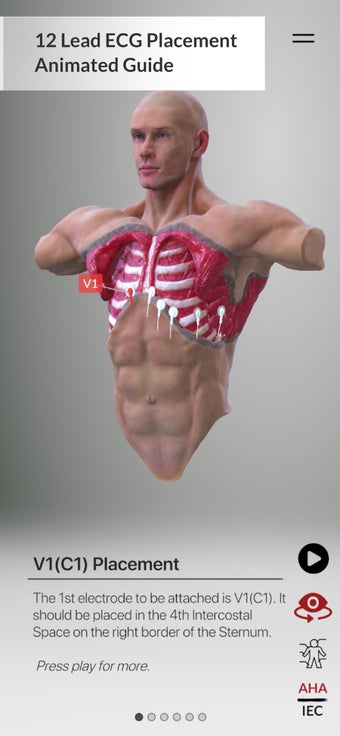 Image 3 for 3D ECG Leads