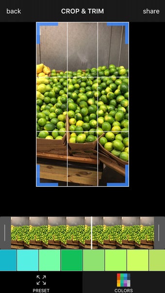 Image 1 for Video Cropper Square