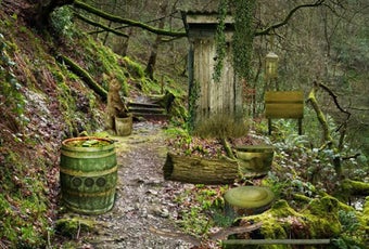Image 3 for Trekking Forest Escape