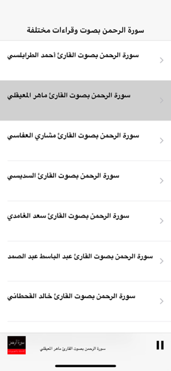 Image 2 for Surah (Surat) Ar Rahman M…