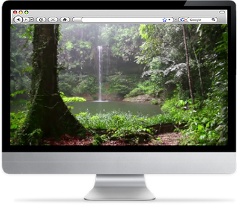 Imagen 0 para Tropical Rainforest Scree…