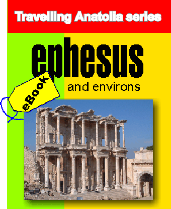 Image 0 for Ephesus and Environs E-bo…