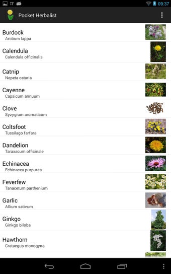 Image 3 for Pocket Herbalist