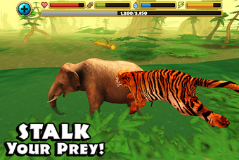 Image 1 for Tiger Simulator