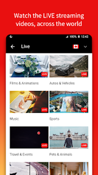 Image 1 for Video Stream : Top Youtub…