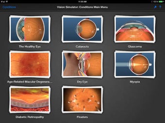 Image 0 for Echo Vision Simulator