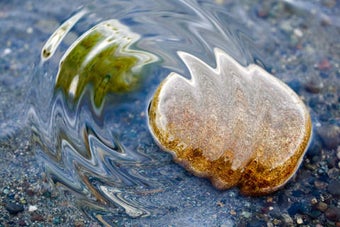 Imagen 0 para Realistic Water Ripples P…