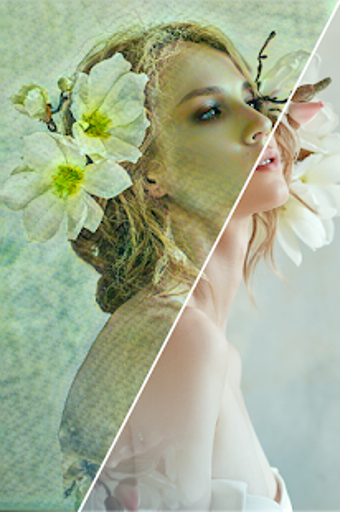 Image 2 for Photo Art - Picture into …