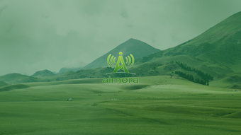 Imagen 0 para aimora