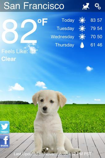 Image 0 for Weather Puppy