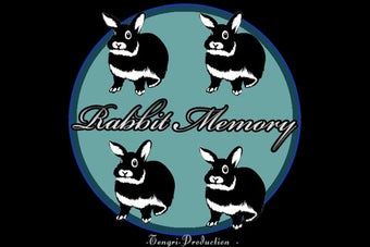 Image 3 for rabbit memory