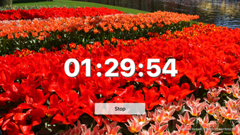 Image 2 for Kronos Timer