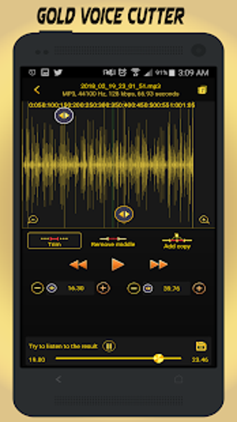 Imagen 0 para Gold Voice Recorder