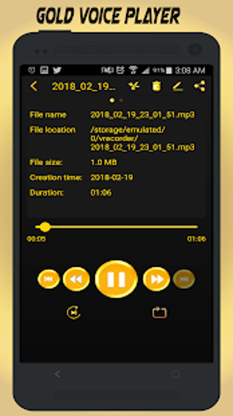 Imagen 1 para Gold Voice Recorder