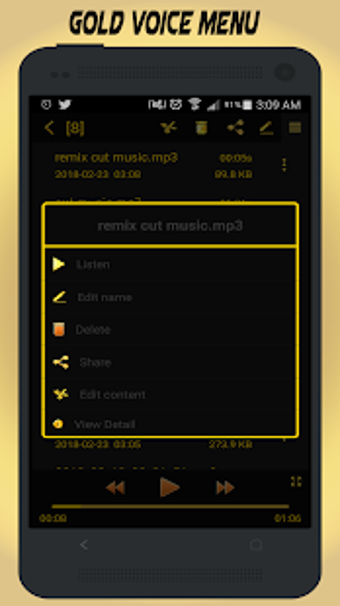 Imagen 3 para Gold Voice Recorder