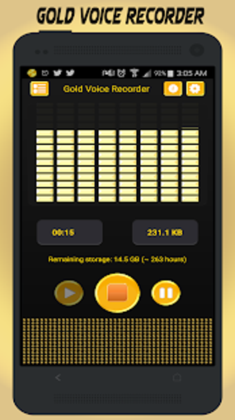 Imagen 2 para Gold Voice Recorder