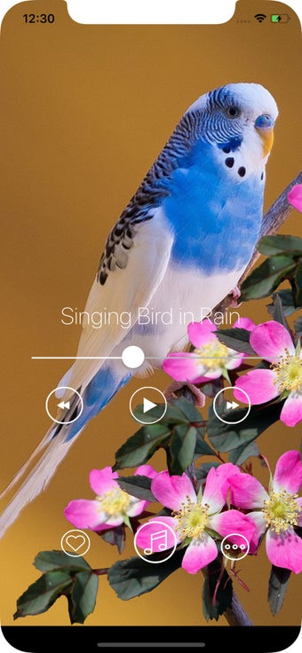 Image 3 for Meditation App: Sound To …