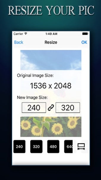 Image 1 for Image Resizer ADVANCED - …