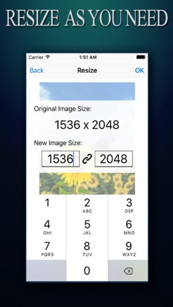 Image 2 for Image Resizer ADVANCED - …