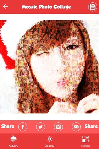 Image 0 for Mosaic Photo Collage